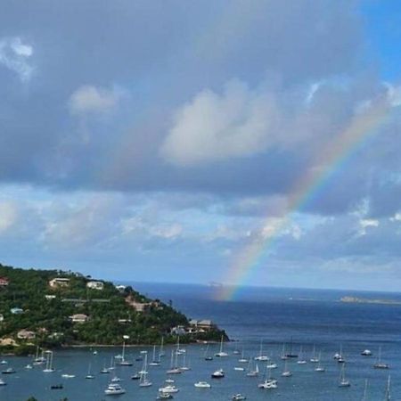 Immaculate Ocean Views Above The Westin Resort - Large Deck Cruz Bay المظهر الخارجي الصورة